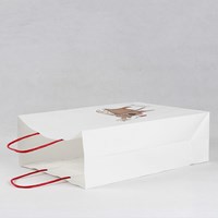 Paper Bag Customization
