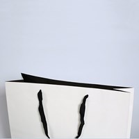 Customized Clothing Bag Sample
