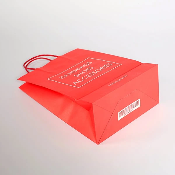 Customized  Clothing Paper Bag Sample
