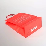 Customized  Clothing Paper Bag Sample