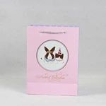 Fashion Cartoon Gift Kraft Paper Bag