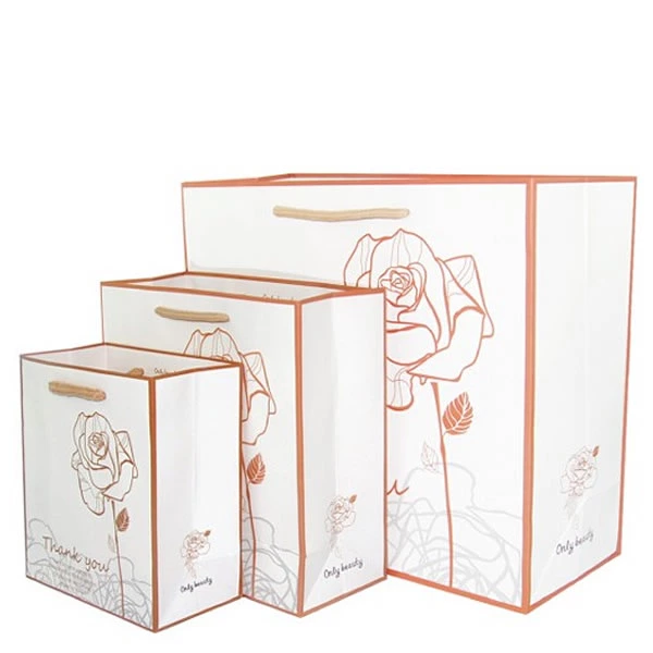 Clothing paper handbag in life