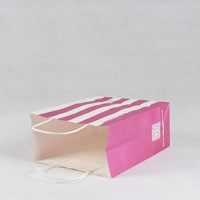 Kraft Paper Bag Custom