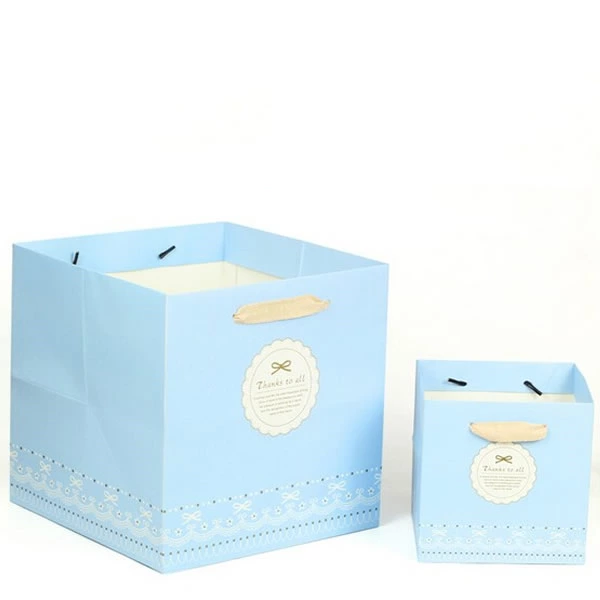 Sky Blue Simple Gift White Card Paper Bag Customization