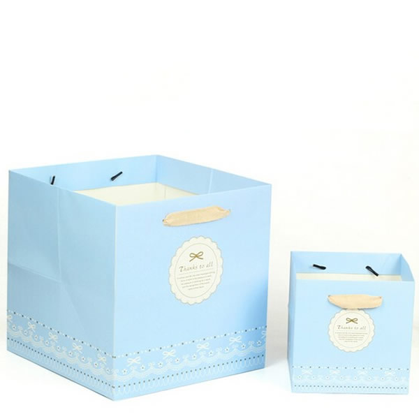 Sky Blue Simple Gift White Card Paper Bag Customization