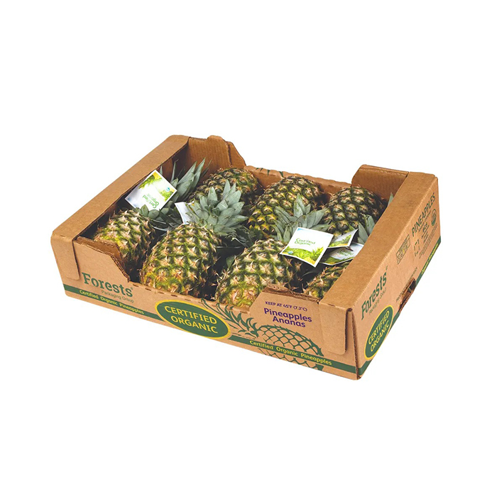 Good quality 5 layer corrugated fruit packaging pineapple carton box