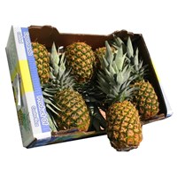 Good quality 5 layer corrugated fruit packaging pineapple carton box