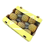 Good quality 5 layer corrugated fruit packaging pineapple carton box