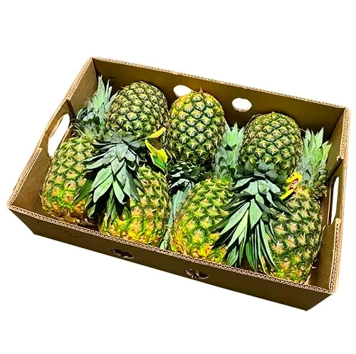 Good quality 5 layer corrugated fruit packaging pineapple carton box