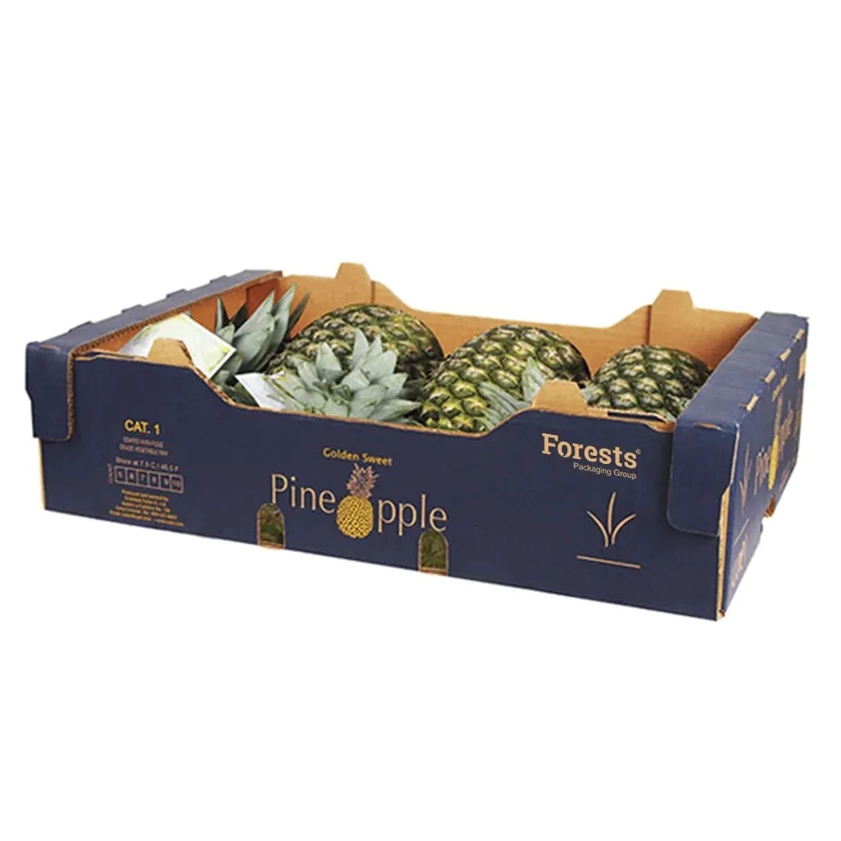 Good quality 5 layer corrugated fruit packaging pineapple carton box