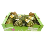Good quality 5 layer corrugated fruit packaging pineapple carton box