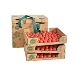 Board Fruit Packaging Cardboard Box Corrugated Vegetable Tray Boxes Custom Design Paper Delivery Box for Food packaging