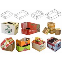 Board Fruit Packaging Cardboard Box Corrugated Vegetable Tray Boxes Custom Design Paper Delivery Box for Food packaging