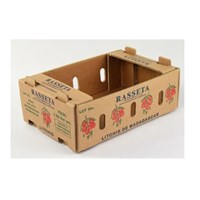 Custom Vegetable Fruit Tomato Packing Corrugated Carton Box