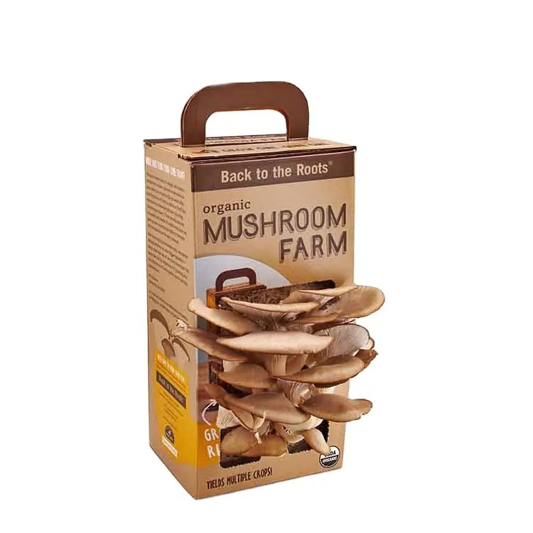 Custom print design mushroom grow box mushroom corrugated carton boxes cardboard mushroom box