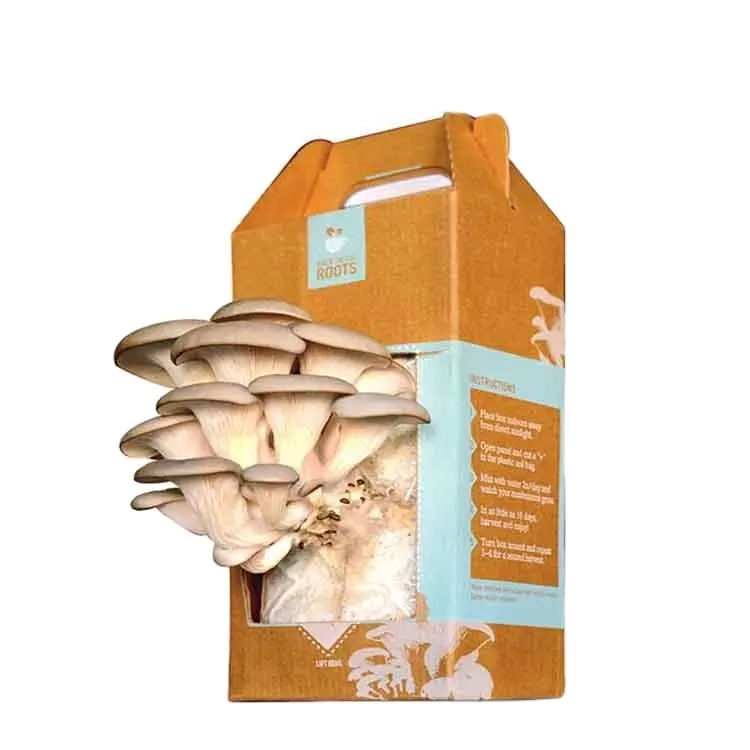 Custom print design mushroom grow box mushroom corrugated carton boxes cardboard mushroom box