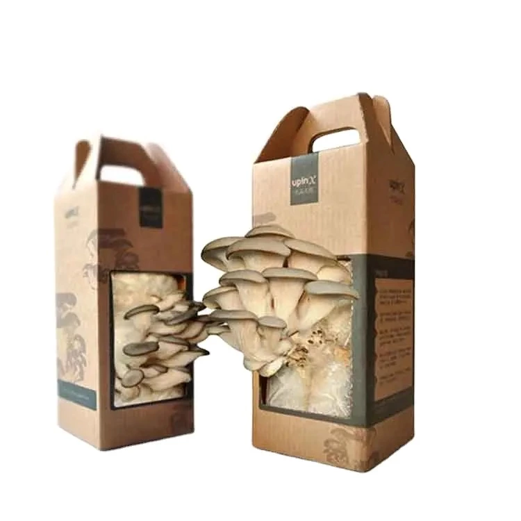 Custom print design mushroom grow box mushroom corrugated carton boxes cardboard mushroom box