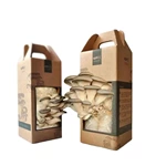 Custom print design mushroom grow box mushroom corrugated carton boxes cardboard mushroom box