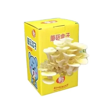 Custom print design mushroom grow box mushroom corrugated carton boxes cardboard mushroom box