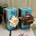 Custom print design mushroom grow box mushroom corrugated carton boxes cardboard mushroom box