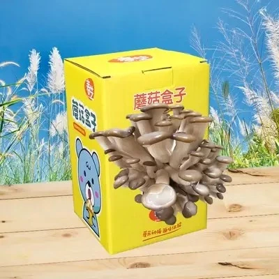 Custom print design mushroom grow box mushroom corrugated carton boxes cardboard mushroom box