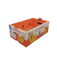 Fruit carton packaging box paper carton for mango