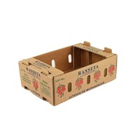 Fruit carton packaging box paper carton for mango