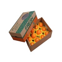 Fruit carton packaging box paper carton for mango