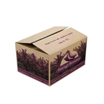 Factory Price Rigid Corrugated Strong B-Flute Fresh Fruit Vegetable Cardboard Banana Box