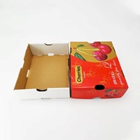 China Factory Best Price Corrugated Paper Fruit Vegetable Carton Cherries Packing Box Special For Fresh Vegetables