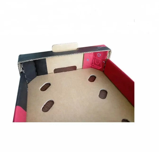 Customized Printed 5-Ply Corrugated Avocado Fresh Fruit Packaging Box Fruits and Vegetable Cardboard Trays Shipping Boxes