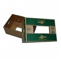 Custom cardboard banana carton box price for fruit and vegetable