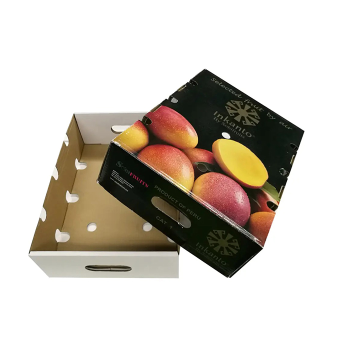 Custom vegetable fruit mango packing corrugated carton box
