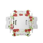 Custom printed strawberry fruit corrugated board carton packaging box