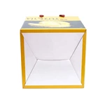 Wholesale Carton Package Durian Corrugated Fruit Gift Paper Packaging Box with Handle