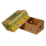 Manufacturer custom design low price multi sizes cardboard corrugated paper fruit packaging boxes banana carton box