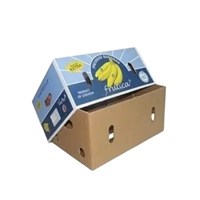Manufacturer custom design low price multi sizes cardboard corrugated paper fruit packaging boxes banana carton box