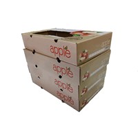 Custom Vegetable Cardboard Box Fruit caja de Tomato Packing Corrugated Carton Box