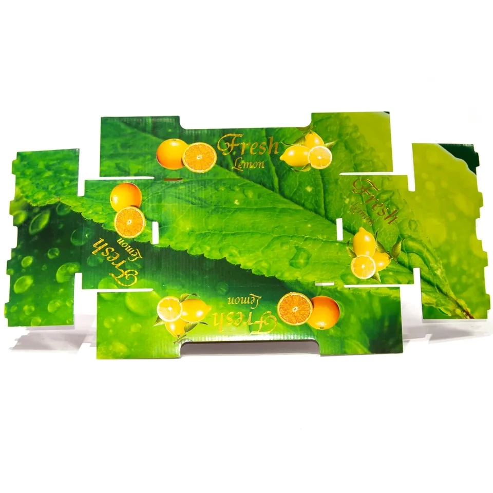 Bulk Paper Fruit Carton Packaging Box Custom Logo Printed Eco Friendly Corrugated Orange Apple Fruit Box