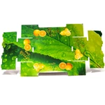Bulk Paper Fruit Carton Packaging Box Custom Logo Printed Eco Friendly Corrugated Orange Apple Fruit Box