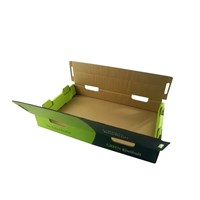 Shipping Packaging Corrugated Packing Cardboard Boxes Biodegradable Kiwi Avocado Box for Green Elegant Paper Packaging Boxes