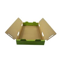 Shipping Packaging Corrugated Packing Cardboard Boxes Biodegradable Kiwi Avocado Box for Green Elegant Paper Packaging Boxes
